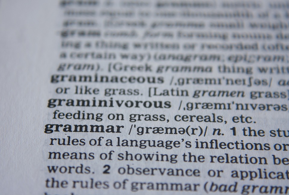 dictionary entry for "grammar"