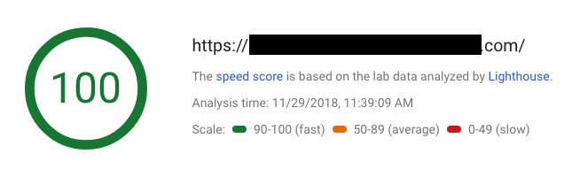 Image of a Spoofed/Faked PageSpeed Insights Score