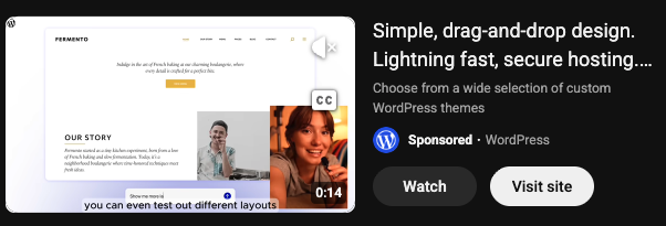 An example of a Google Ads video ad on YouTube
